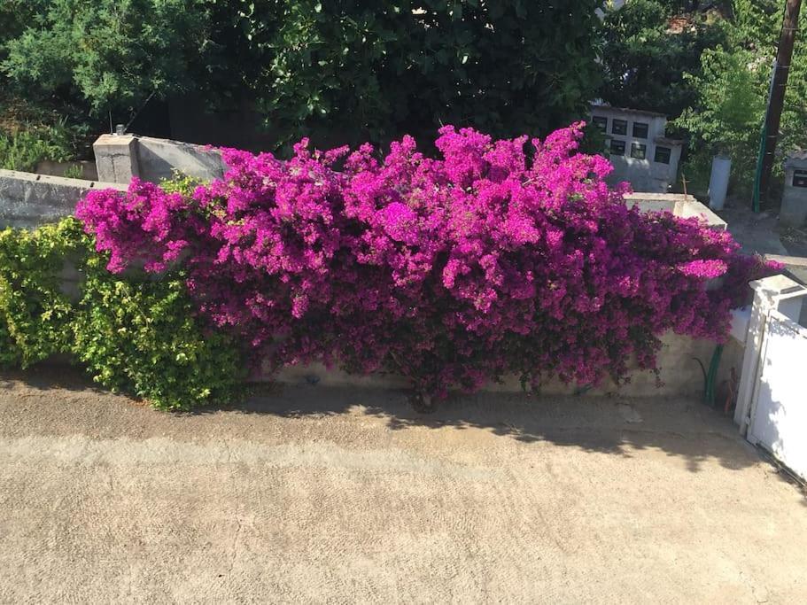 Casa Azzura Διαμέρισμα Μπαστιά Εξωτερικό φωτογραφία